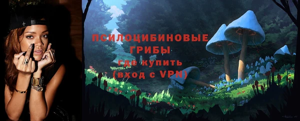 первитин Козловка